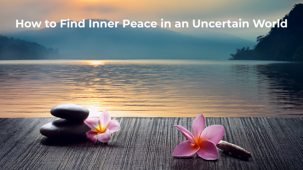 A peaceful waterfront setting with stacked rocks and a lotus flower sitting on the dock